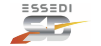 EsseDi snc Logo